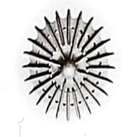 Vane Ring — investment casting sample